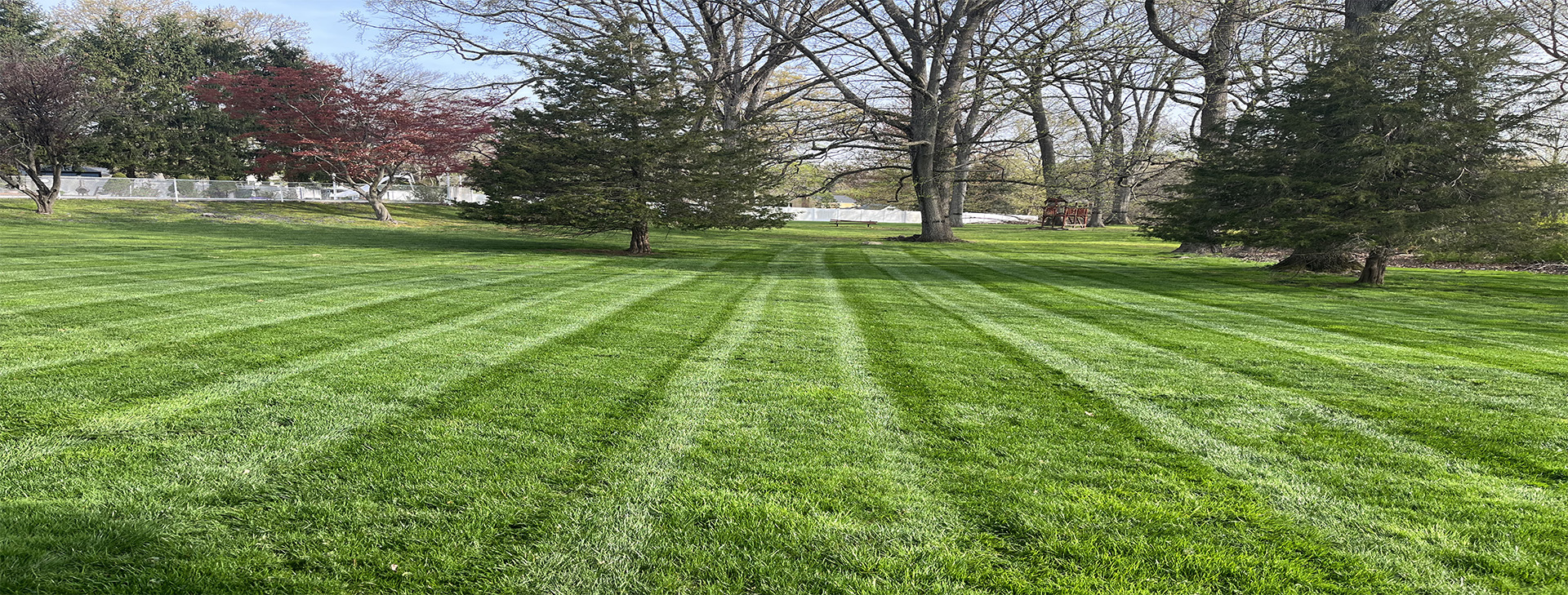 The grass is always greener on your side